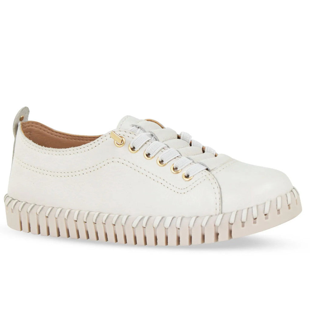 Tênis Feminino Bottero Comfort – Couro Legítimo - Preço Promocional, Apenas Hoje!